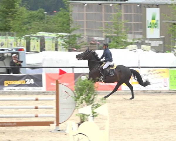 Reitturnier Gossau (Stall Sommersweid) 2020