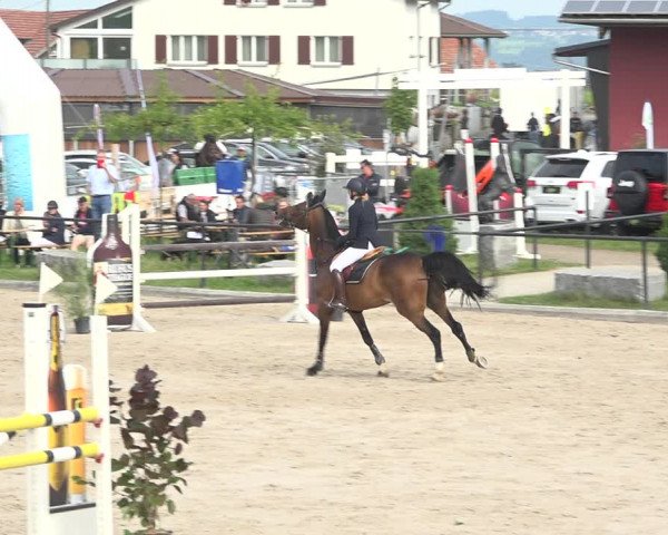 Reitturnier Gossau (Stall Sommersweid) 2020