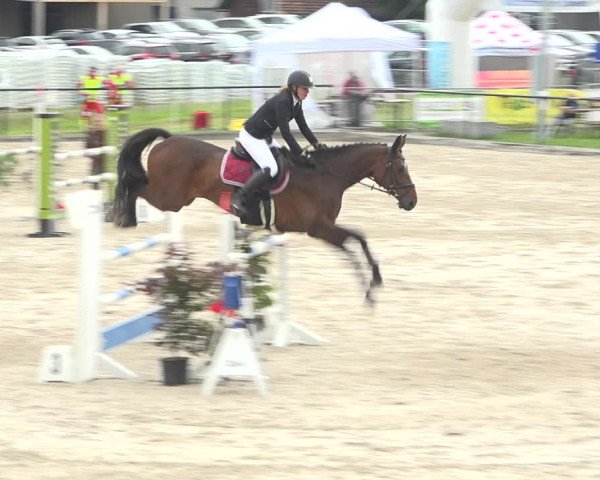 Reitturnier Gossau (Stall Sommersweid) 2020