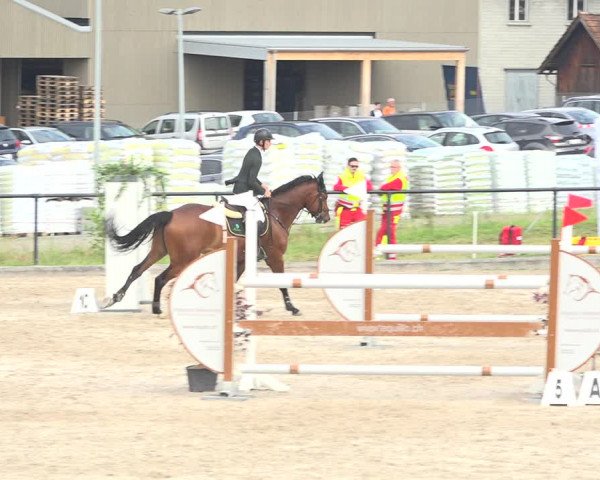 Reitturnier Gossau (Stall Sommersweid) 2020