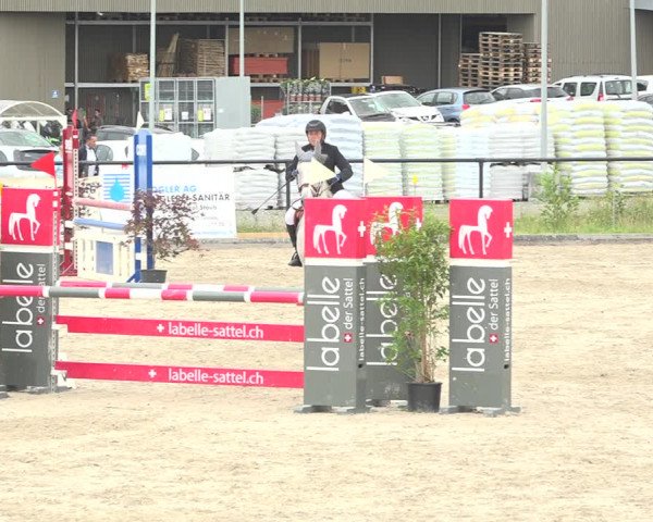 Reitturnier Gossau (Stall Sommersweid) 2020