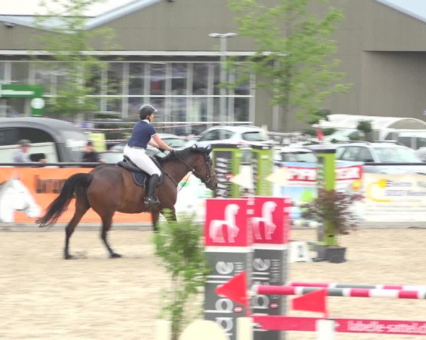 Reitturnier Gossau (Stall Sommersweid) 2020
