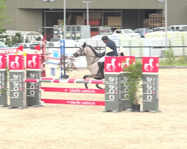 Reitturnier Gossau (Stall Sommersweid) 2020