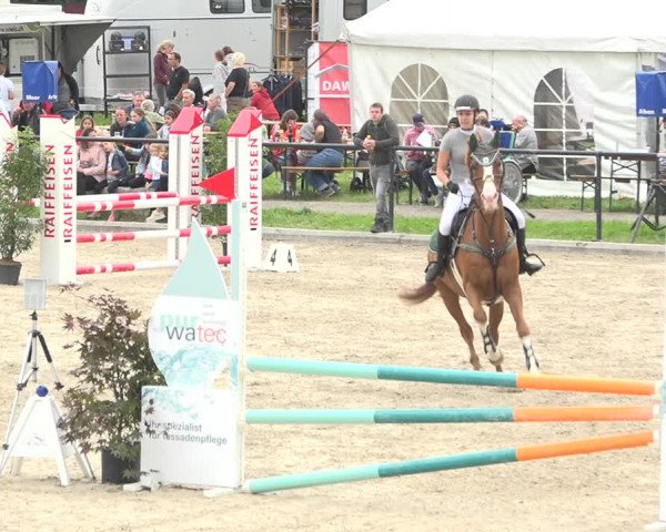 Reitturnier Gossau (Stall Sommersweid) 2020