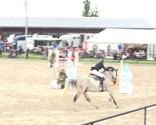 Reitturnier Gossau (Stall Sommersweid) 2020