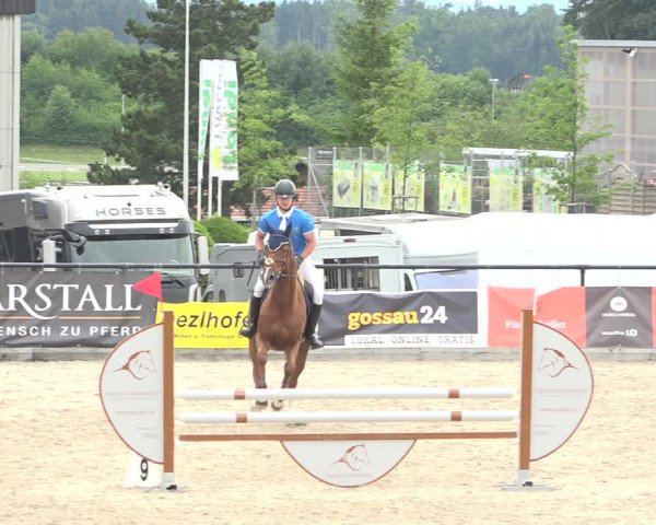 Reitturnier Gossau (Stall Sommersweid) 2020