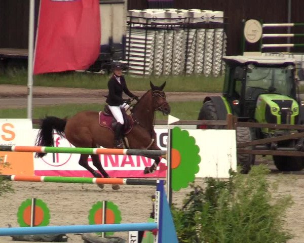 Reitturnier Westergellersen - Luhmühlen 2020