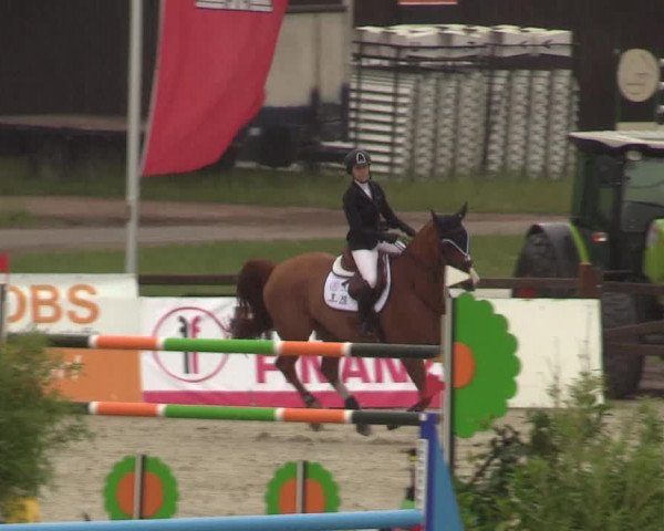 Reitturnier Westergellersen - Luhmühlen 2020