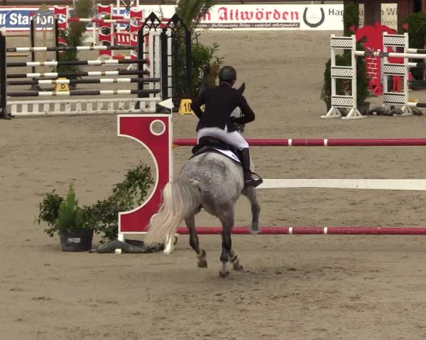 Reitturnier Westergellersen - Luhmühlen 2020