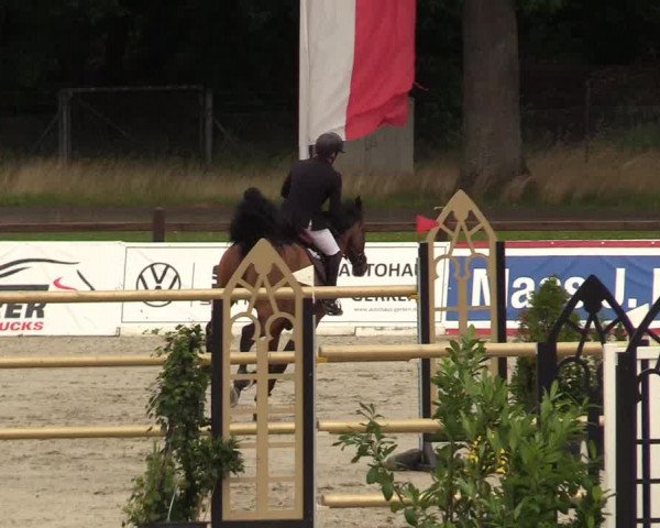 Reitturnier Westergellersen - Luhmühlen 2020