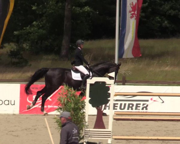 Reitturnier Westergellersen - Luhmühlen 2020