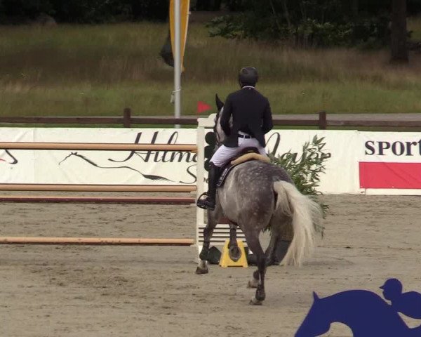 Reitturnier Westergellersen - Luhmühlen 2020
