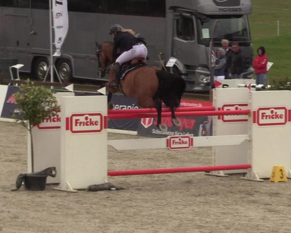 Reitturnier Westergellersen - Luhmühlen 2020