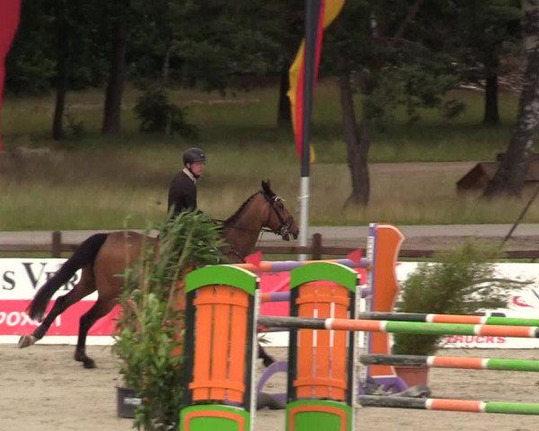 Reitturnier Westergellersen - Luhmühlen 2020