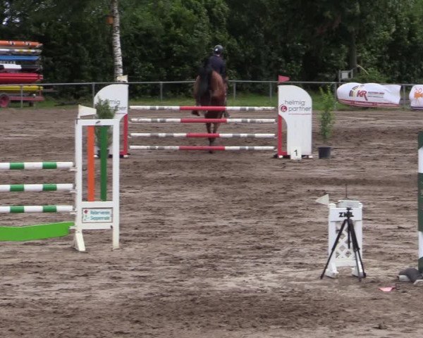 Reitturnier Seppenrade 2020