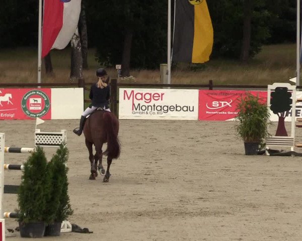 Reitturnier Westergellersen - Luhmühlen 2020