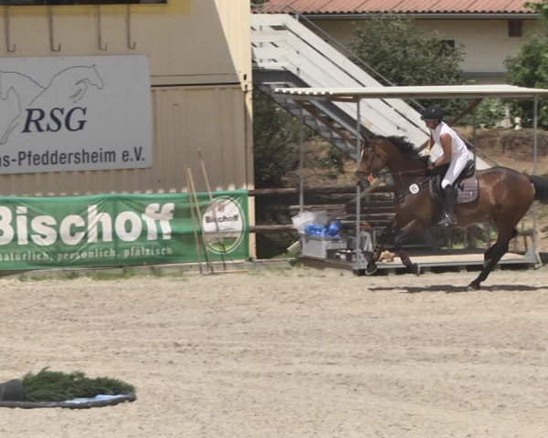 Reitturnier Worms-Pfeddersheim / Reitsportanlage Wittemer 2020