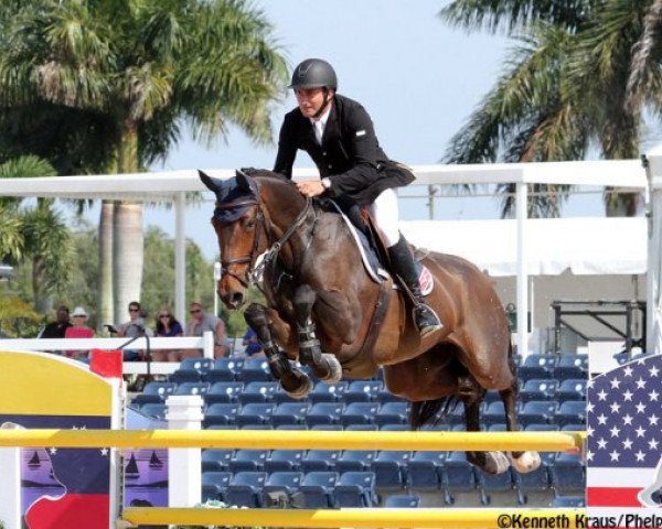 broodmare Cuarta (Holsteiner, 2006, from Canto) broodmare Cuarta (Holsteiner, 2006, from Canto)