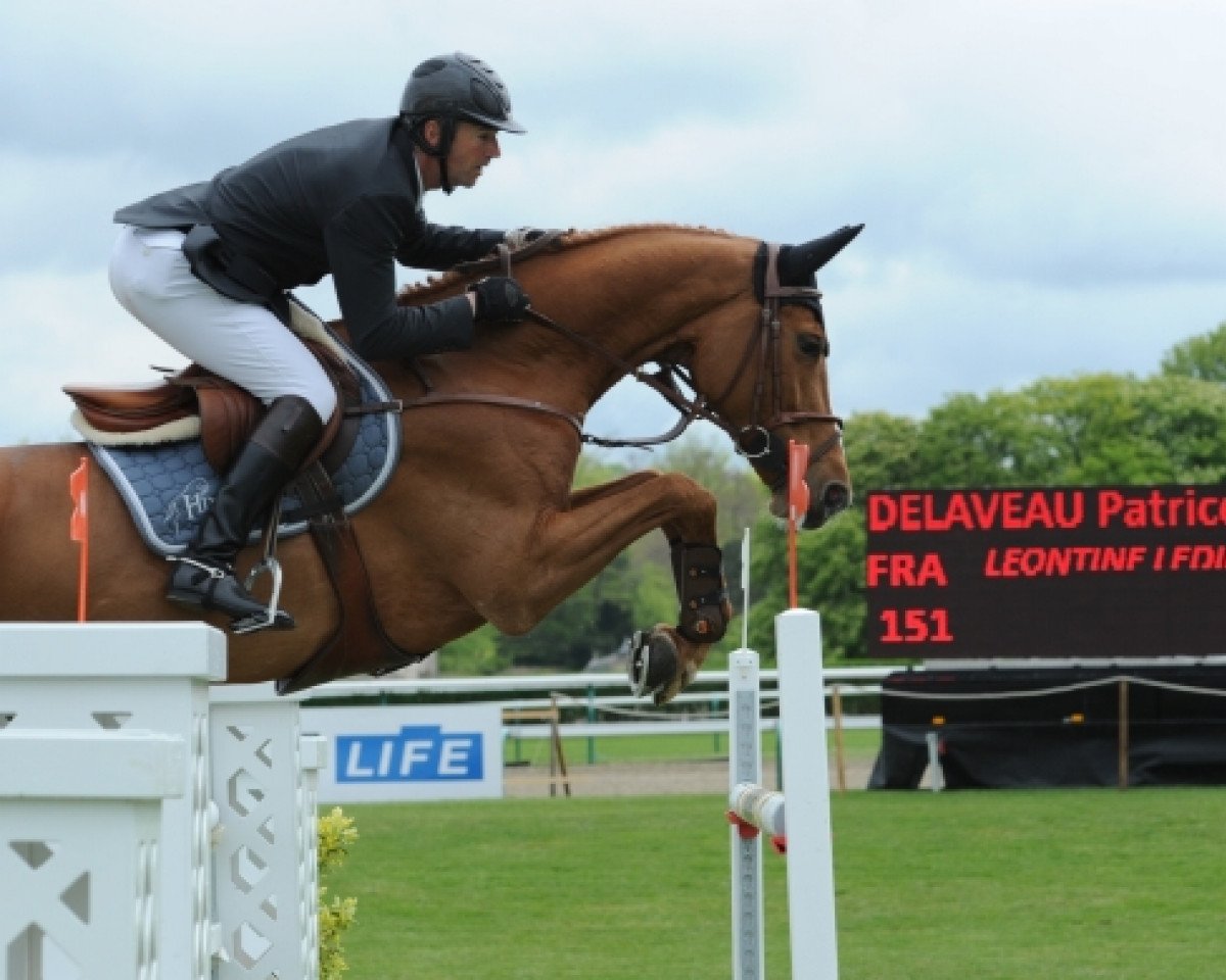 Springpferd Leontine Ledimar Z H D C (Zangersheide Reitpferd, 2007, von Lovefever II)