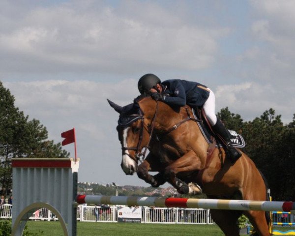 Springpferd Olympique Libellule (Selle Français, 2002, von Jarnac)