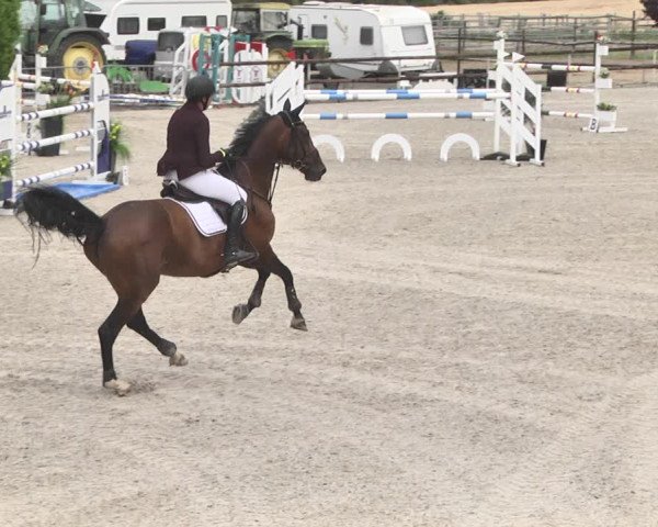 Reitturnier Worms-Pfeddersheim / Reitsportanlage Wittemer 2020