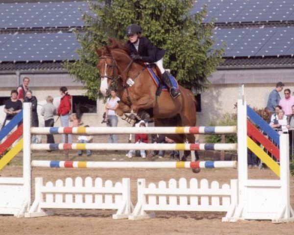 Pferd Samson (Oldenburger, 1994, von Silvio I)
