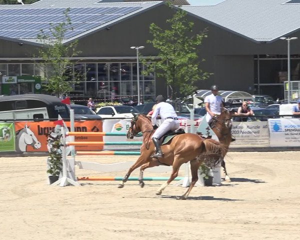 Reitturnier Gossau (Stall Sommersweid) 2020