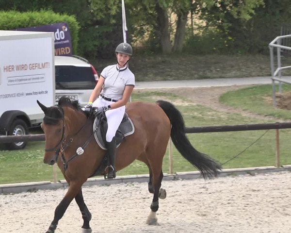 Reitturnier Worms-Pfeddersheim / Reitsportanlage Wittemer 2020