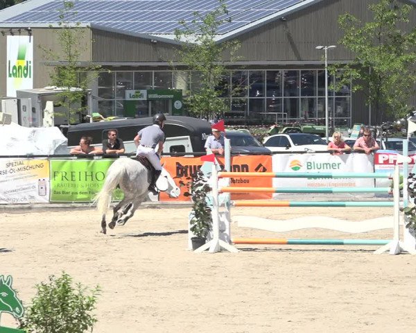 Reitturnier Gossau (Stall Sommersweid) 2020