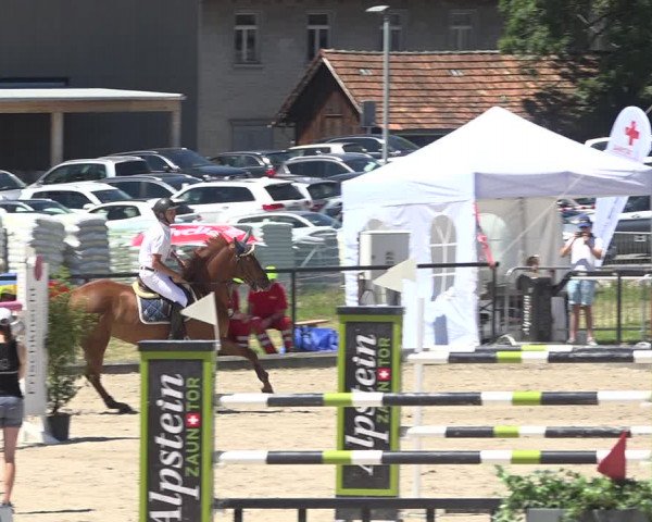 Reitturnier Gossau (Stall Sommersweid) 2020