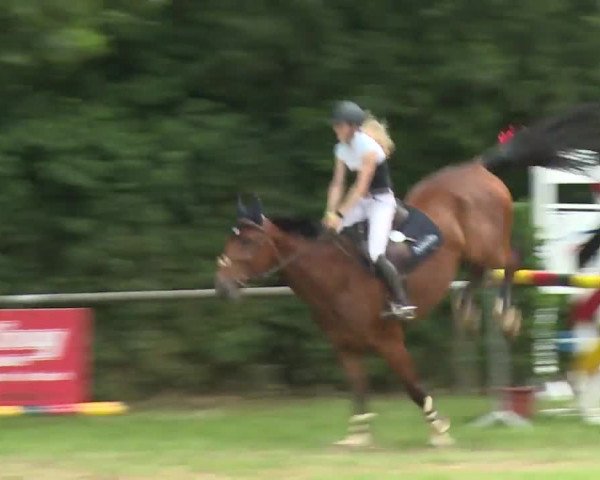 Reitturnier Hahnbach/Opf. 2020