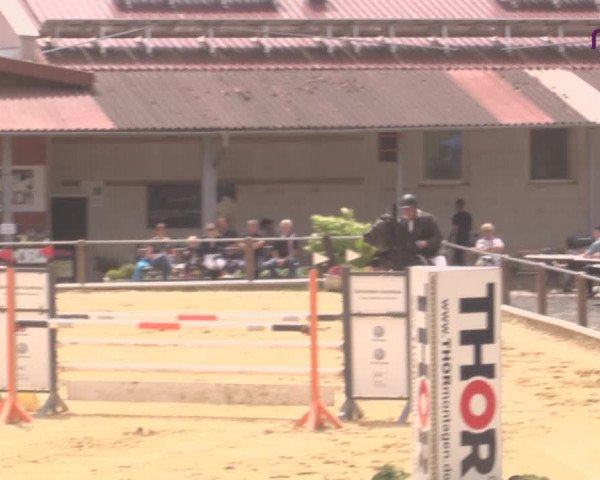 Reitturnier Uder, Reitanlage Kobold 2020