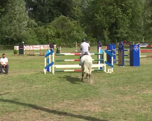 Reitturnier Hahnbach/Opf. 2020