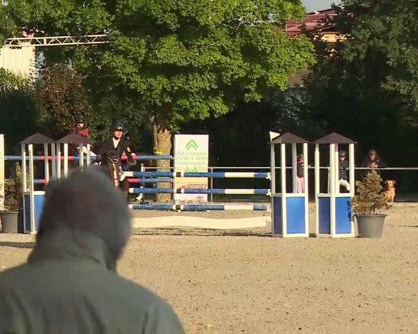 Süddeutsche Ponymeisterschaften Rot am See- Musdorf 2021