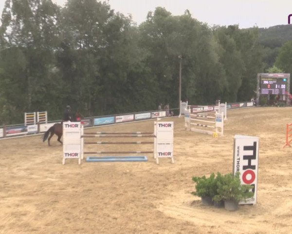 Reitturnier Uder, Reitanlage Kobold 2020