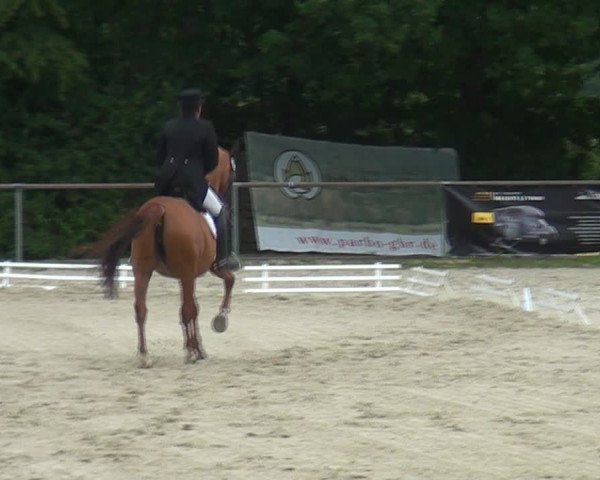 Reitturnier Haiger-Rodenbach 2020