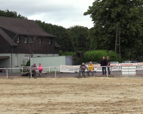Reitturnier Hünxe-Bruckhausen 2020