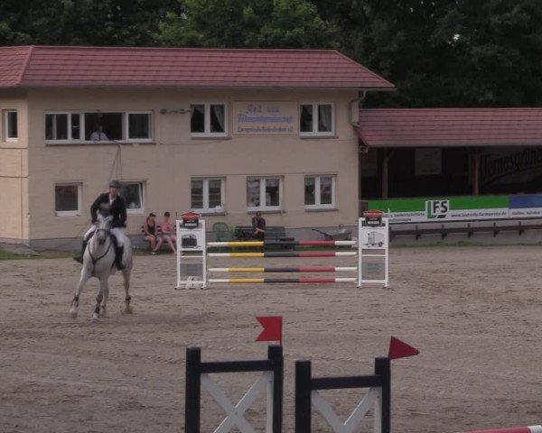 Reitturnier Lgl.-Oberhain, B95 2020