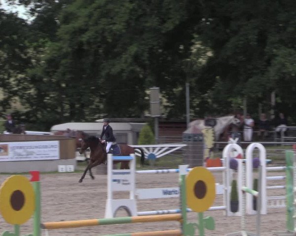 Reitturnier Lgl.-Oberhain, B95 2020