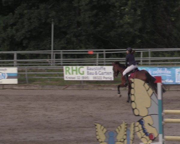 Reitturnier Lgl.-Oberhain, B95 2020