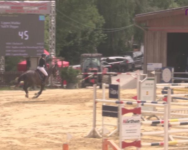 Reitturnier Uder, Reitanlage Kobold 2020