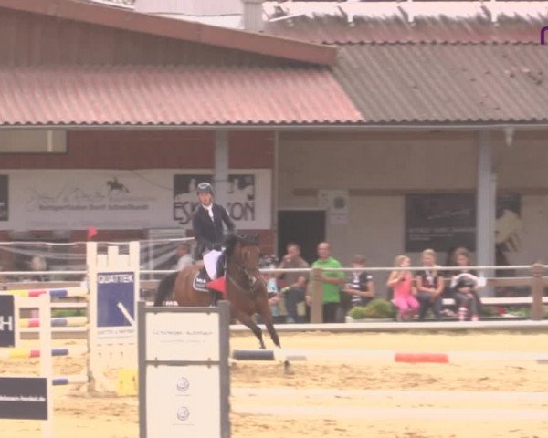 Reitturnier Uder, Reitanlage Kobold 2020