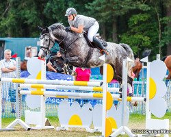 jumper Es Beunder (KWPN (Royal Dutch Sporthorse), 2009, from Singapore)