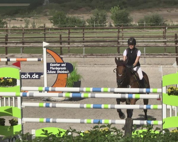 Reitturnier Worms-Pfeddersheim / Reitsportanlage Wittemer 2020