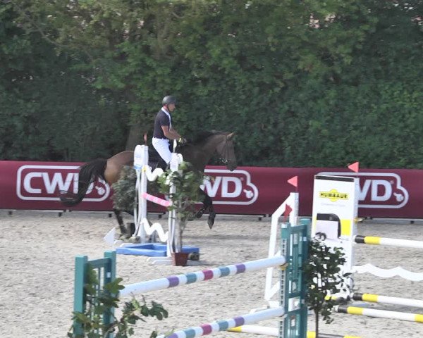 Reitturnier Worms-Pfeddersheim / Reitsportanlage Wittemer 2020
