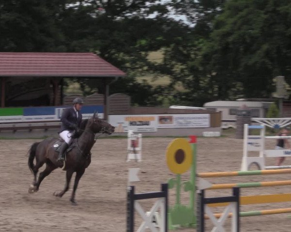 Reitturnier Lgl.-Oberhain, B95 2020