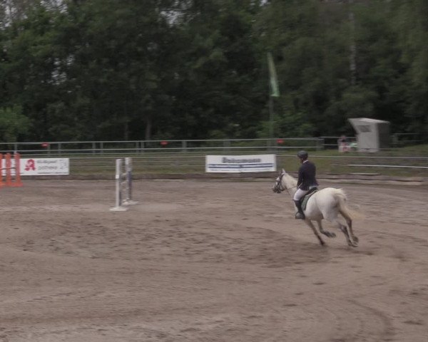 Reitturnier Lgl.-Oberhain, B95 2020