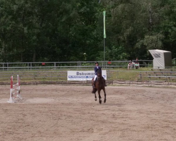 Reitturnier Lgl.-Oberhain, B95 2020