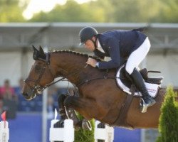jumper Carat (Swedish Warmblood, 2000, from VDL Cardento 933)
