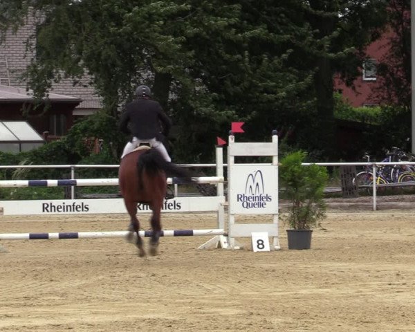 Reitturnier Hünxe-Bruckhausen 2020